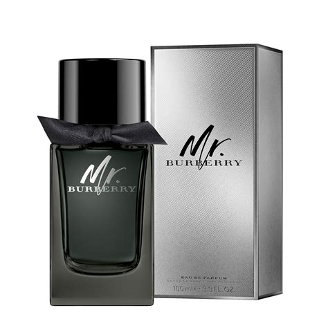 mr burberry eau de parfum 100 ml